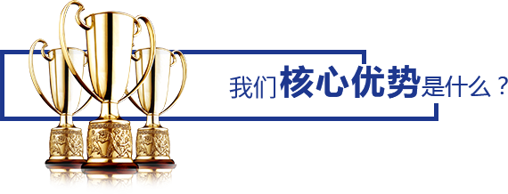 核心優(yōu)勢(shì)是什么？